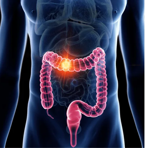 ¿Qué especialista trata la hepatitis?