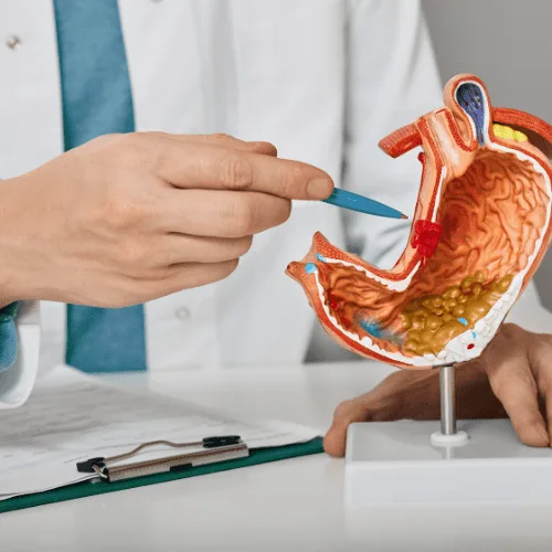 ¿Qué especialista trata los trastornos gastrointestinales?